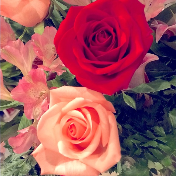 Meet your Posher, Destiney - Picture 1 of 1